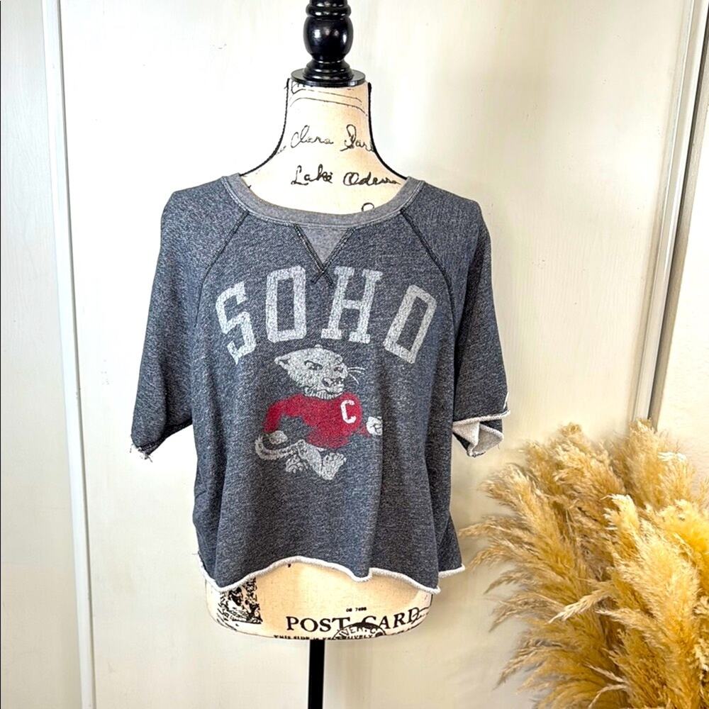 Champion x Todd Sydney Gray SOHO Graphic Crop Sweatshirt size Large